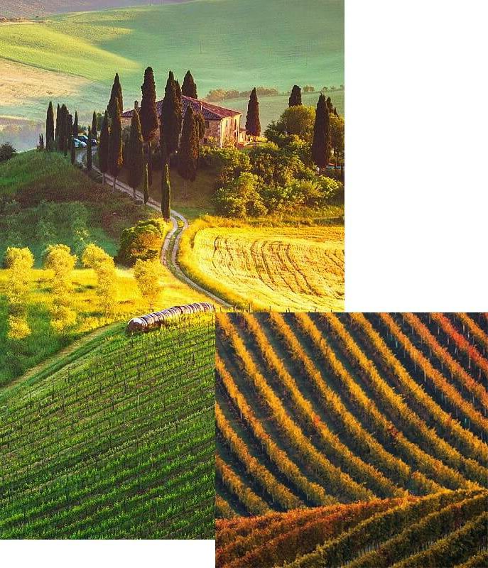 wine-gen-img-1